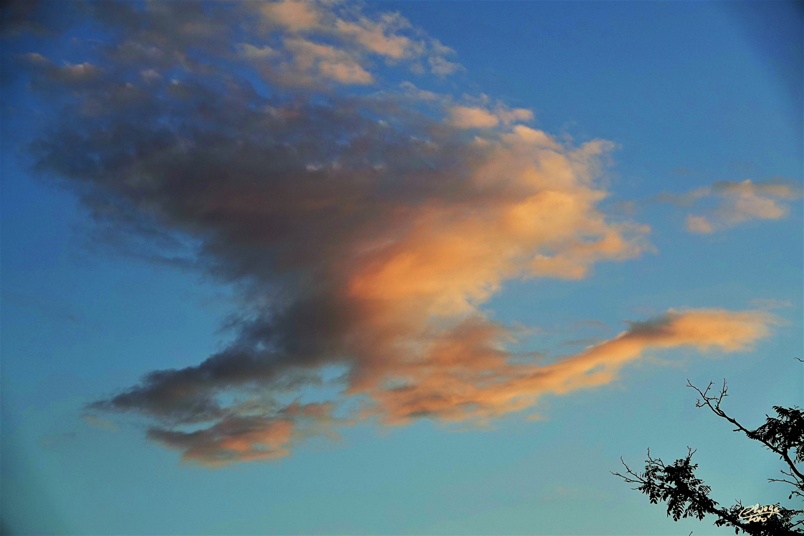 Wolkenschwan vor blauem Himmel