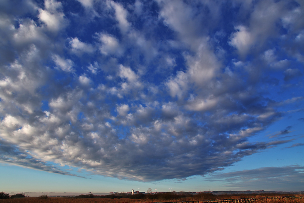 "Wolkenschwarm"