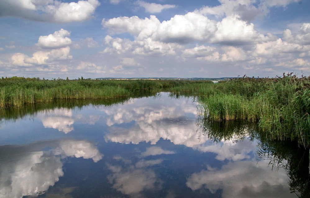 Wolkenspiegel Federsee