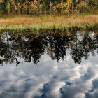 Wolkenspiegel im Haspelmoor