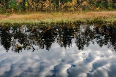 Wolkenspiegel im Haspelmoor