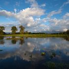 Wolkenspiegel im Hochwasser...