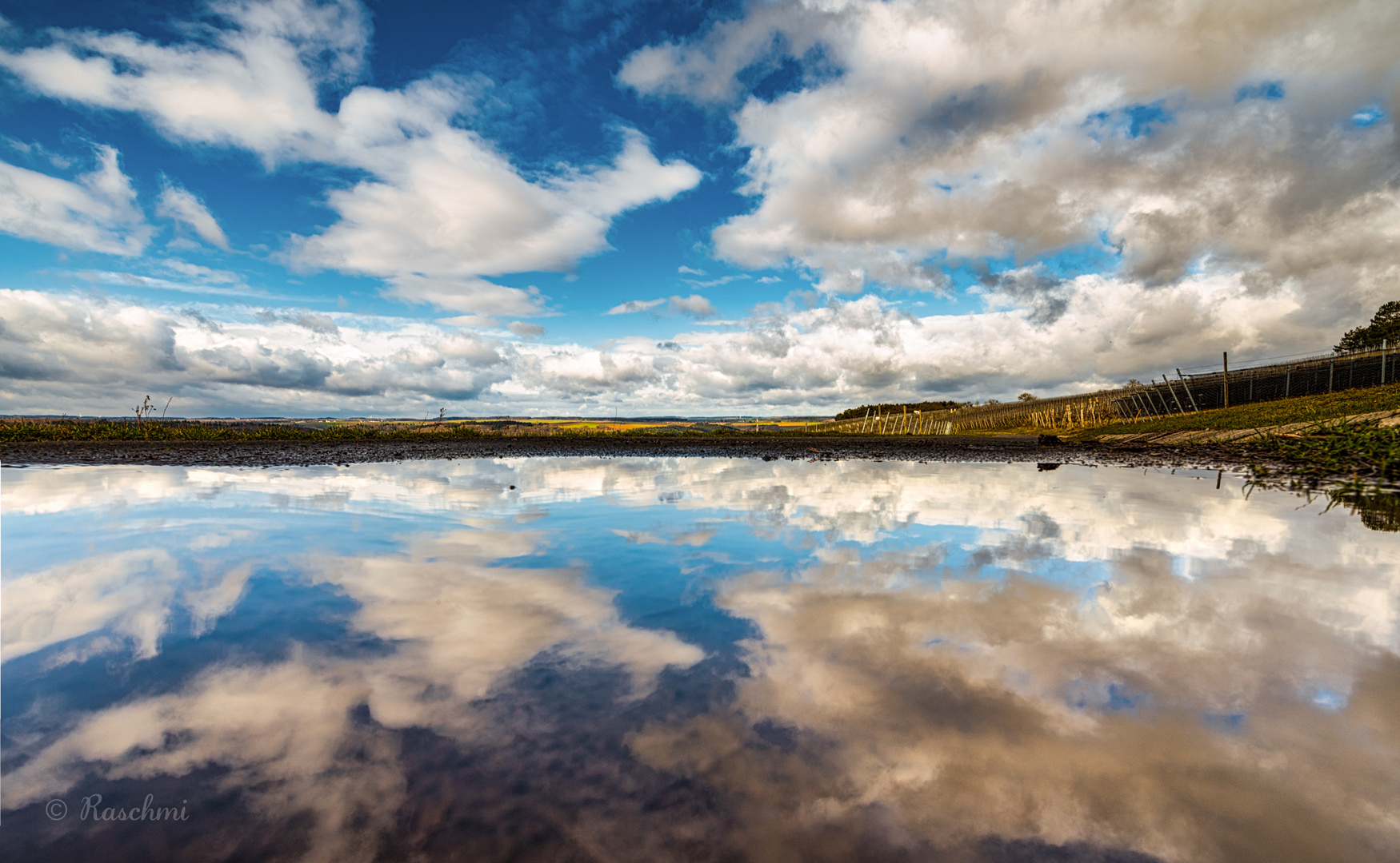 WOLKENSPIEGEL im WEINBERG