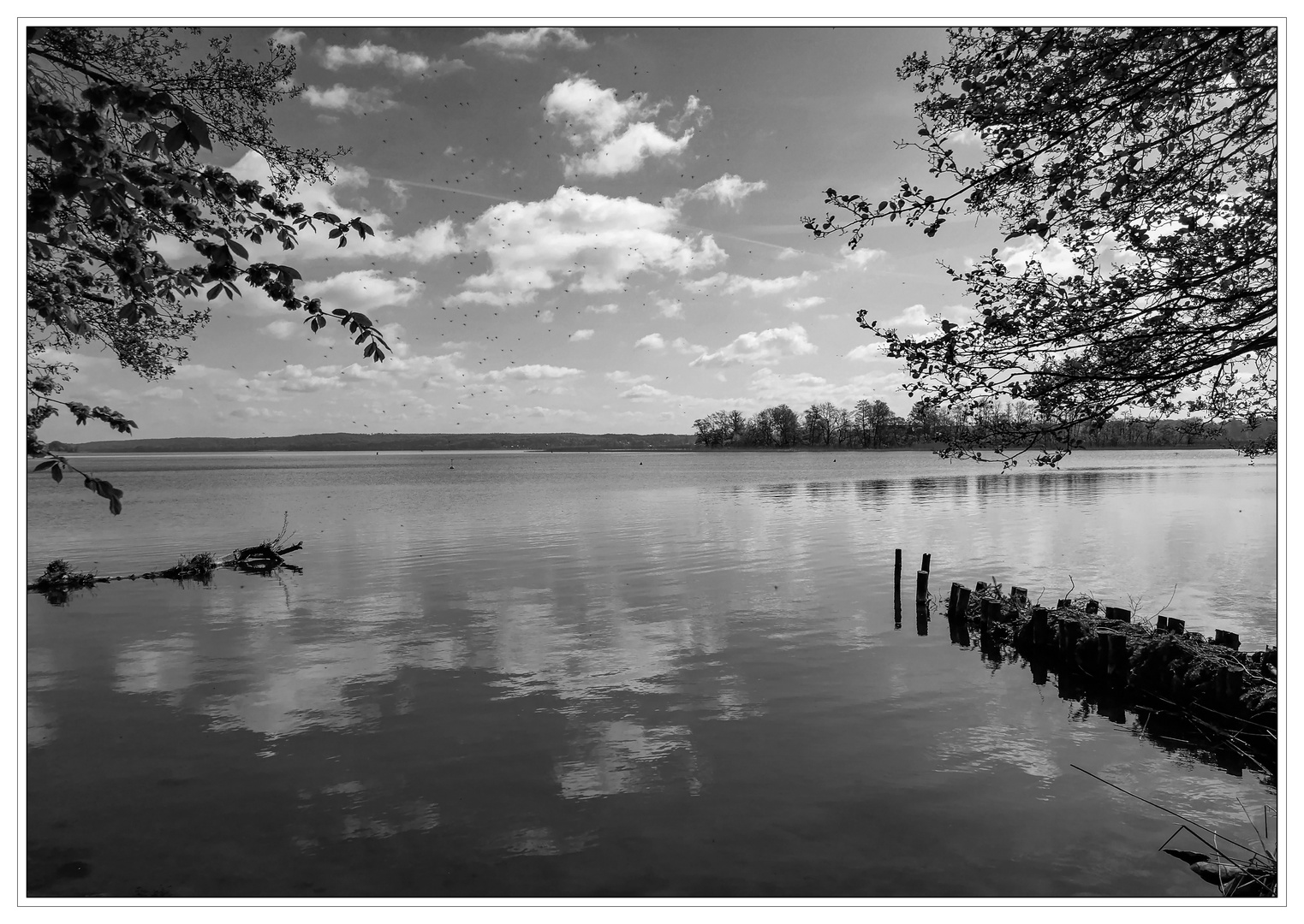 Wolkenspiegelei