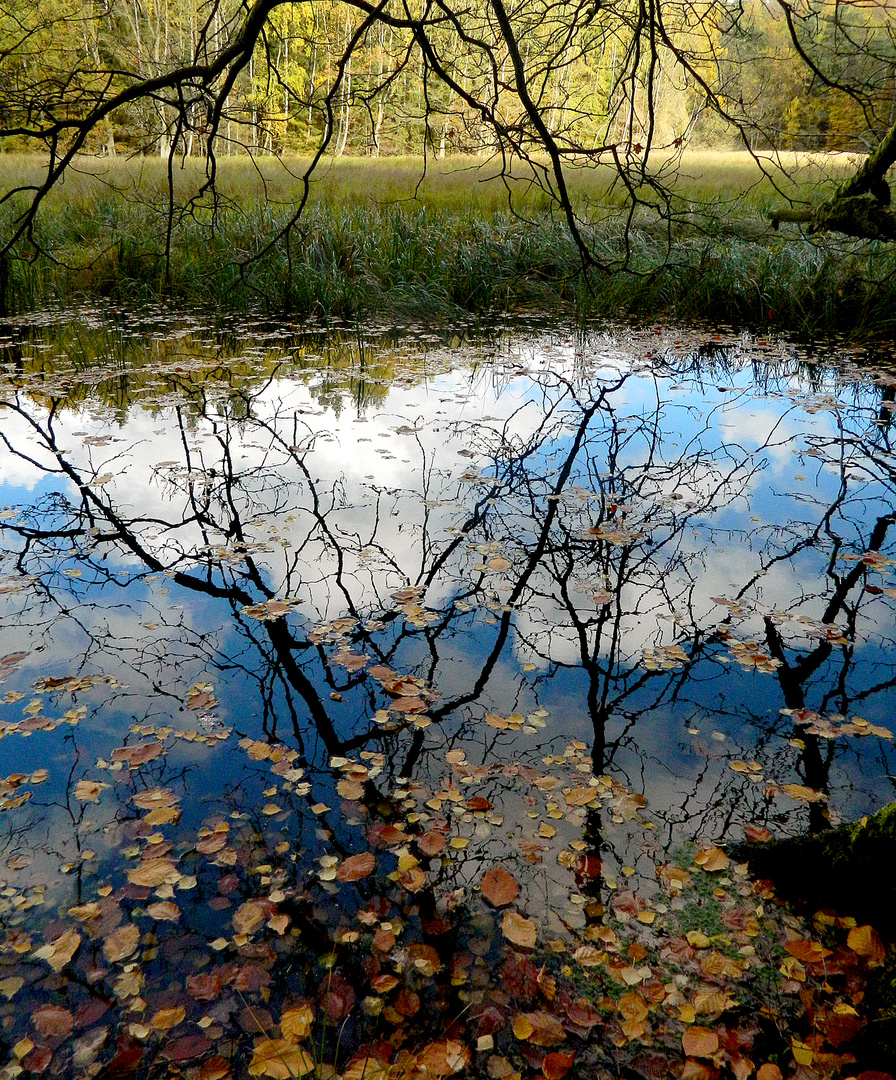 Wolkenspiegelung