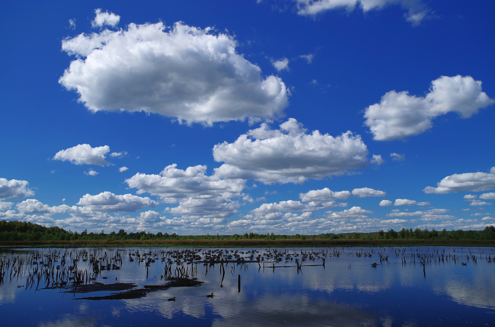 Wolkenspiegelung