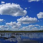 Wolkenspiegelung