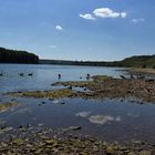 Wolkenspiegelung bei Niedrigwasser