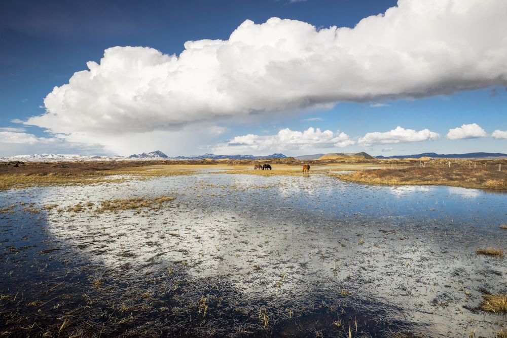 Wolkenspiegelung