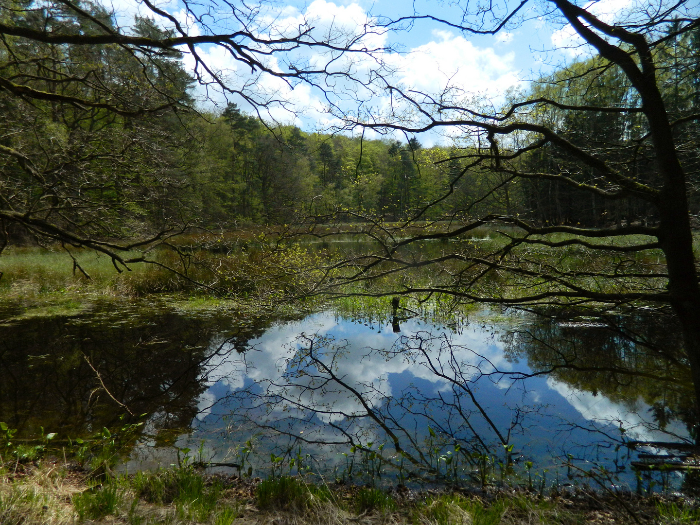 Wolkenspiegelung