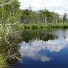 Wolkenspiegelung im Fünfecksee