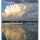 Wolkenspiegelung im Kakadu Nationalpark