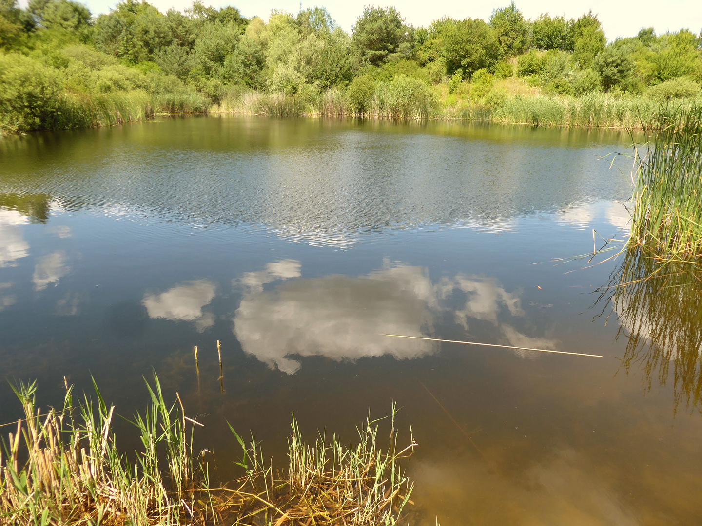 Wolkenspiegelung im Teich