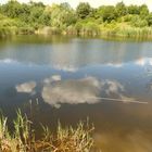 Wolkenspiegelung im Teich