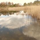 Wolkenspiegelung im Teich