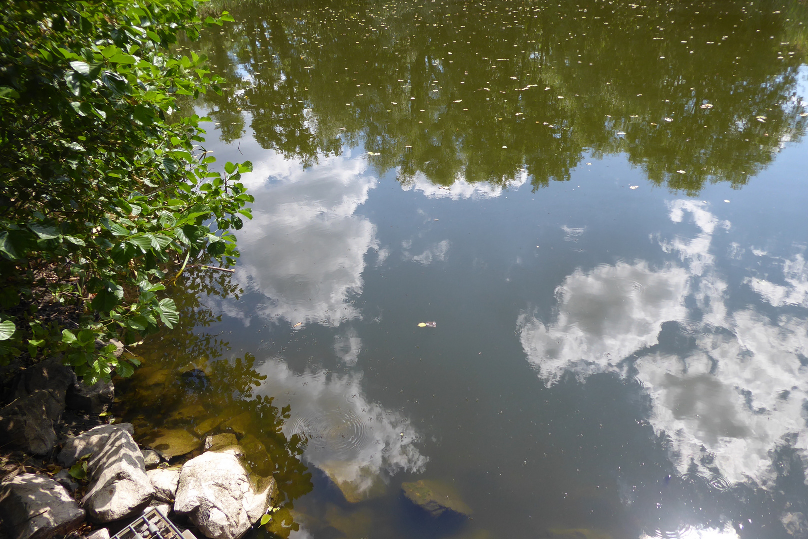 Wolkenspiegelung im Teich