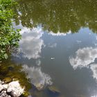 Wolkenspiegelung im Teich