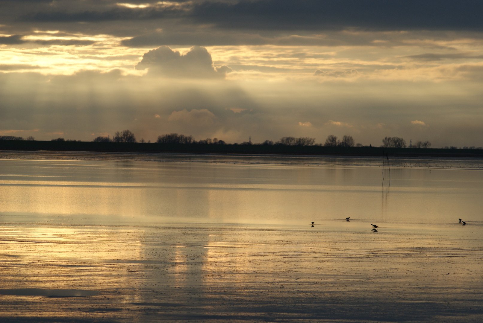 Wolkenspiegelung im Watt.