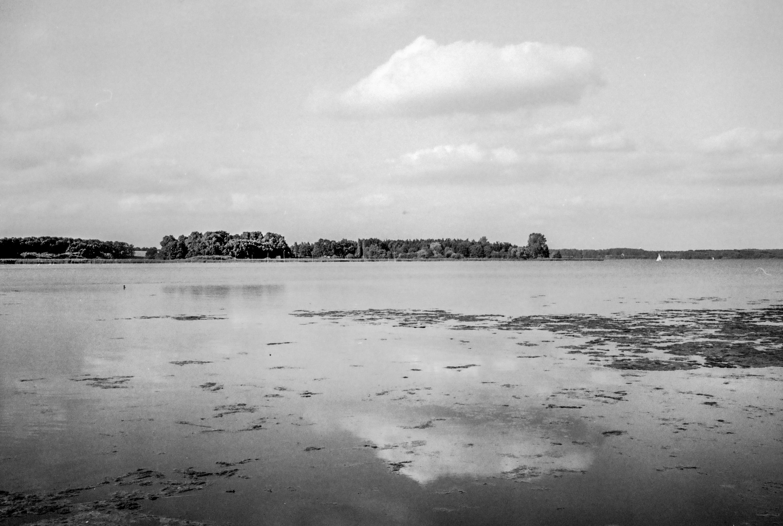 Wolkenspiegelung im Westensee analog ca 1983