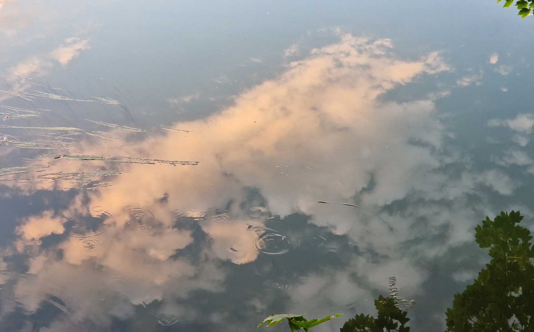 Wolkenspiegelung in der Marne