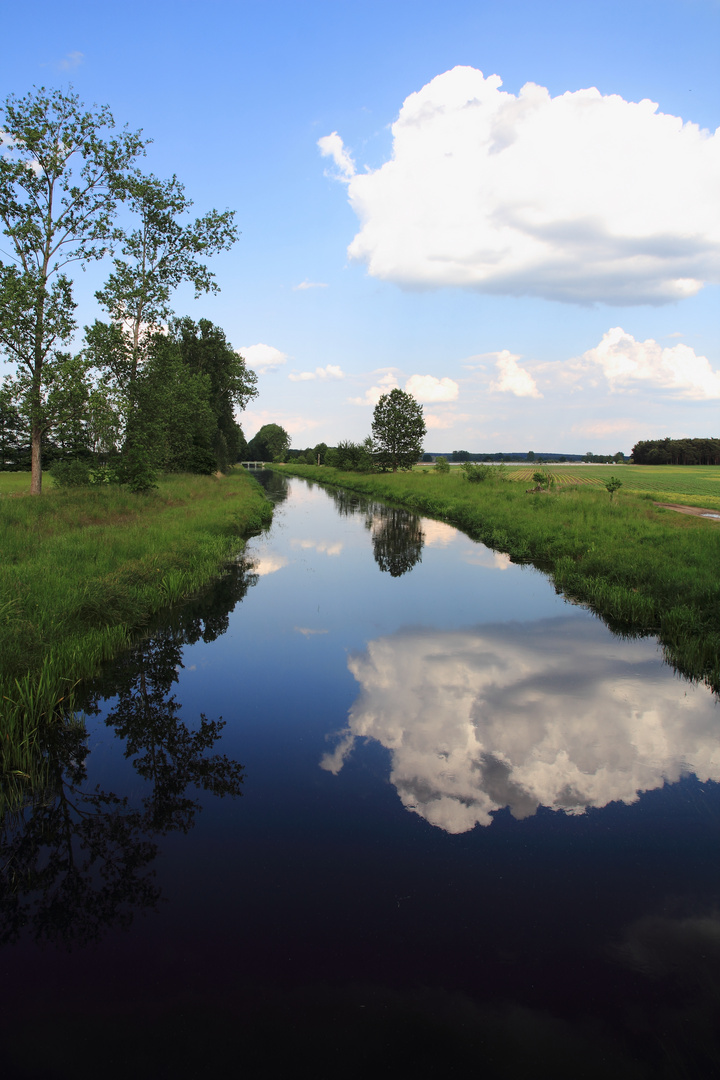 Wolkenspiegelung in der Nieplitz