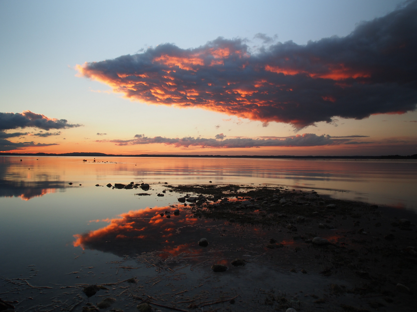 Wolkenspiegelung in Rose