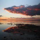 Wolkenspiegelung in Rose