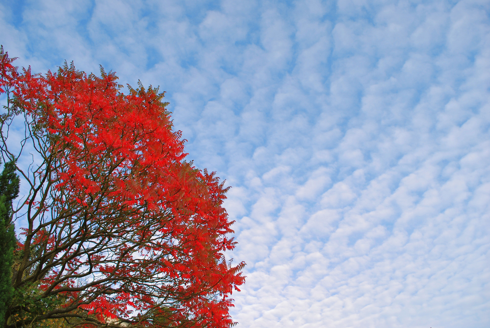 Wolkenspiel