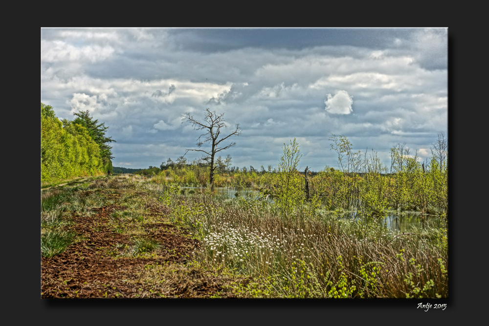 Wolkenspiel