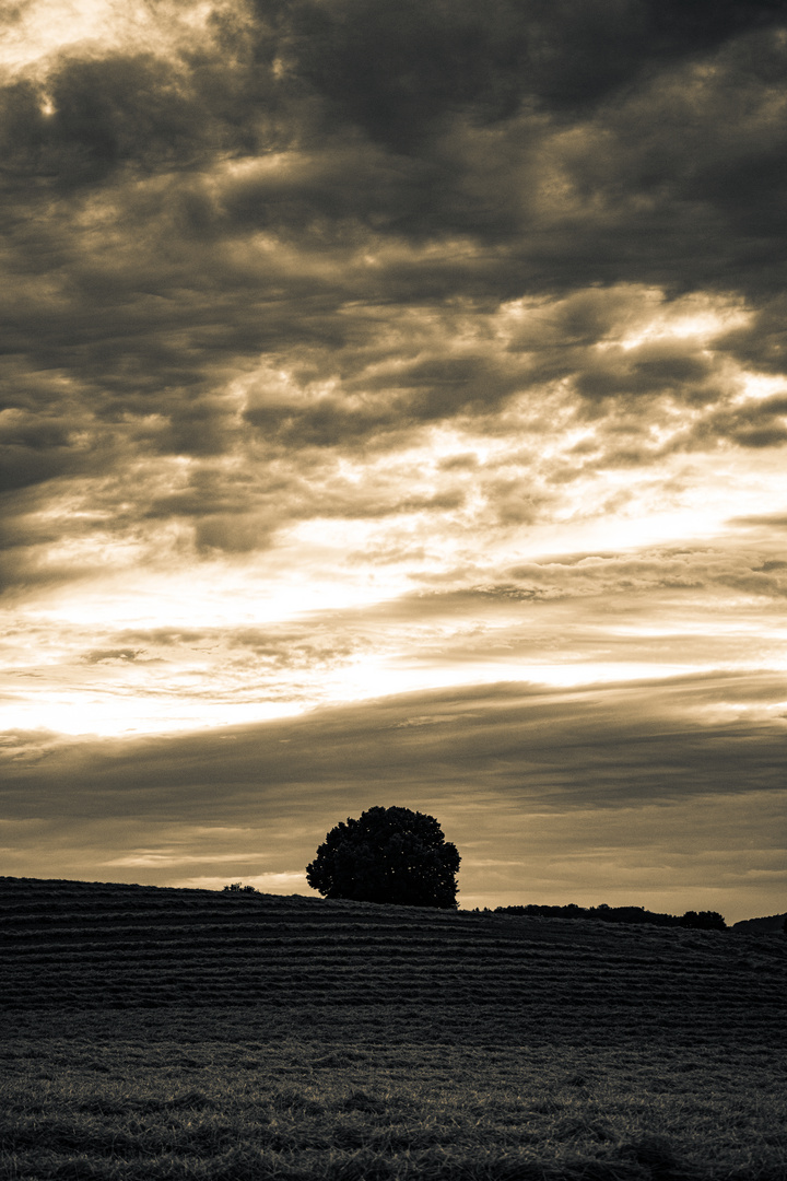 Wolkenspiel