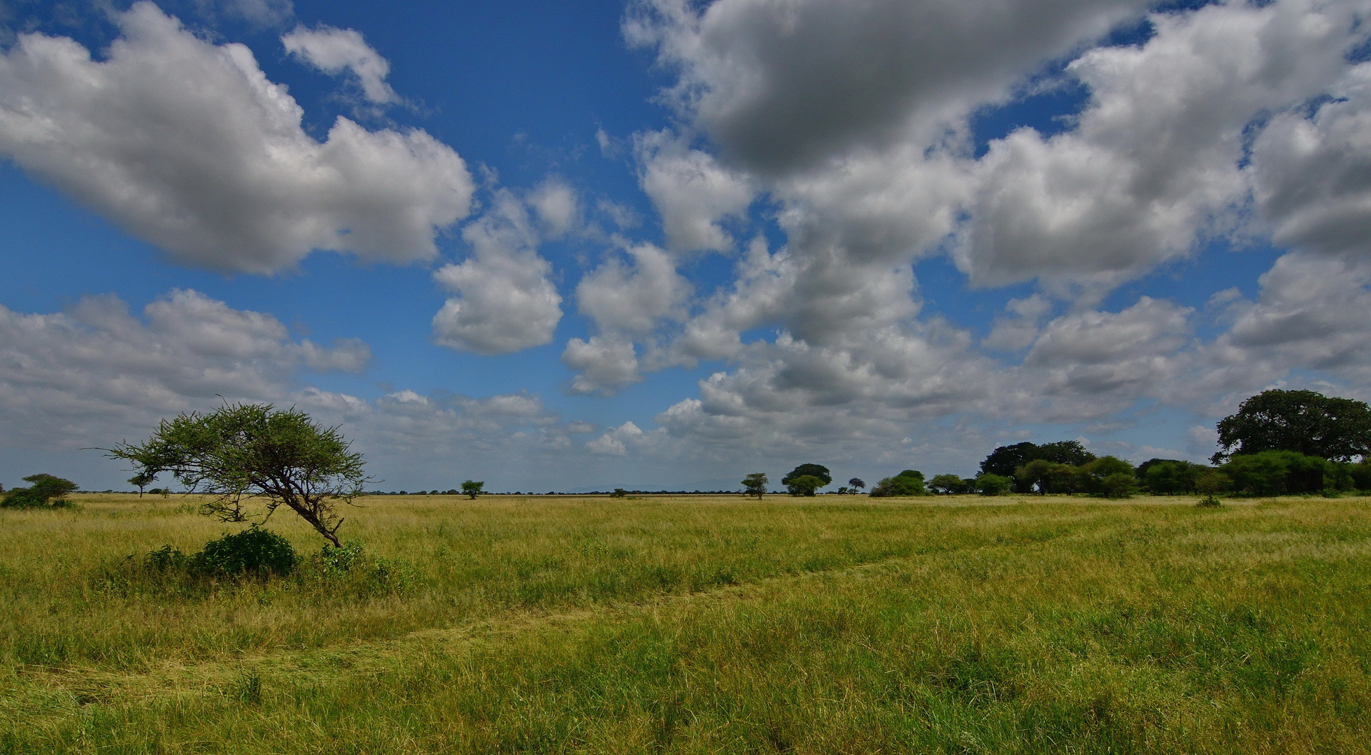 Wolkenspiel