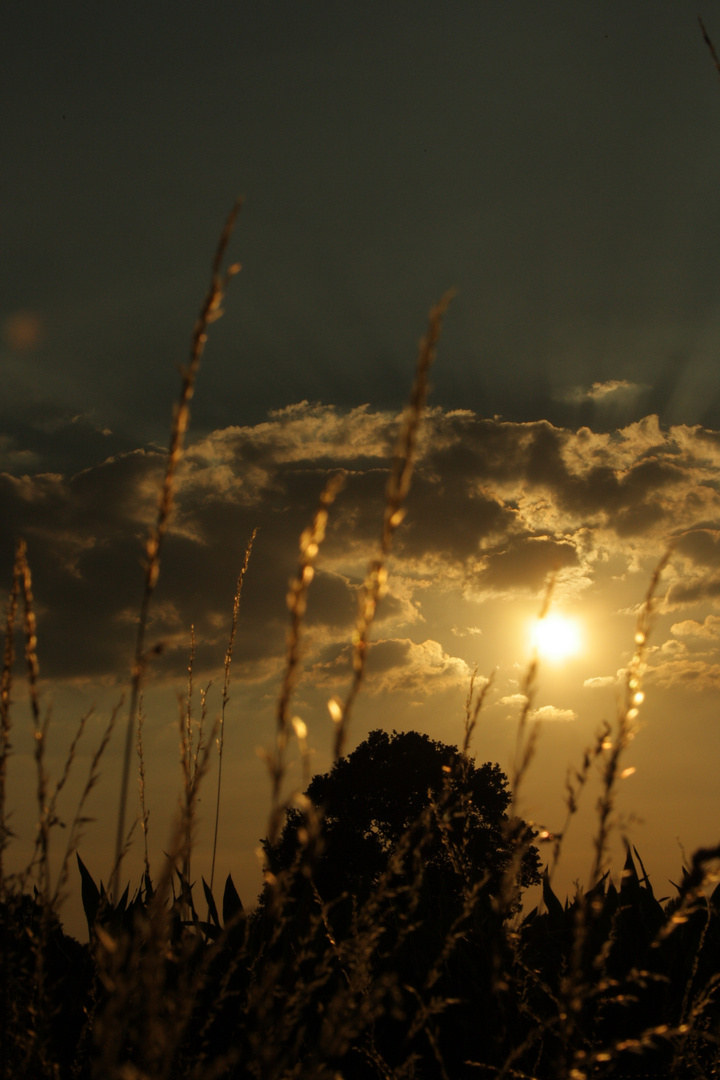 Wolkenspiel