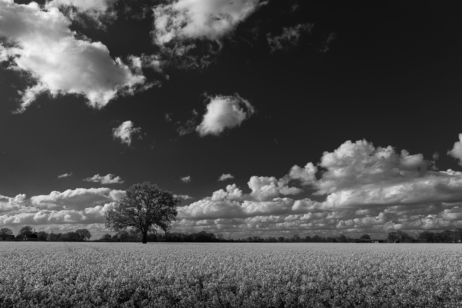 Wolkenspiel