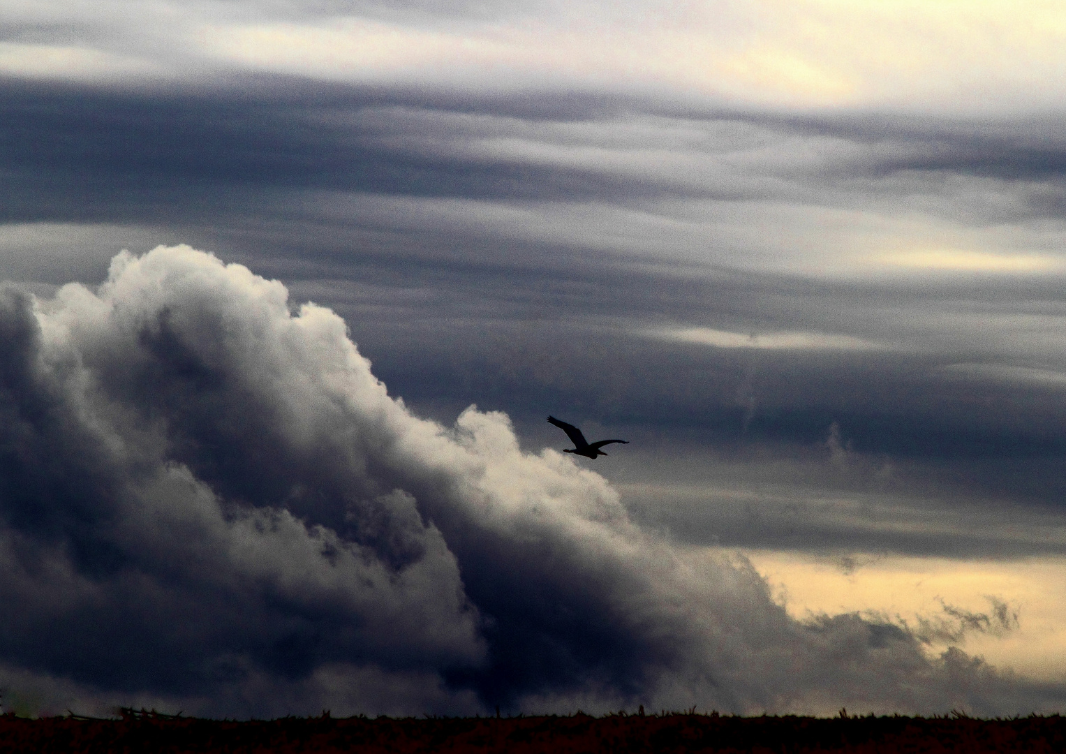 Wolkenspiel im Herbstwind