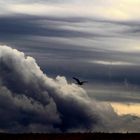 Wolkenspiel im Herbstwind