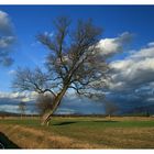 Wolkenspiel in Farbe