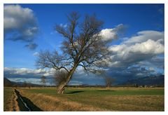 Wolkenspiel in Farbe