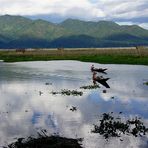 wolkenspiel, inle see, burma 2011