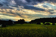 Wolkenspiel über dem Rapsfeld