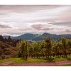 WolkenSpiel über Weinberg