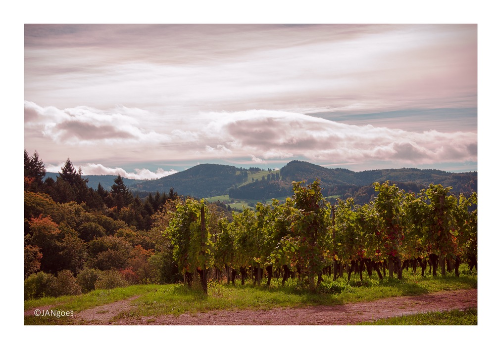 WolkenSpiel über Weinberg