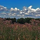 Wolkenspiele