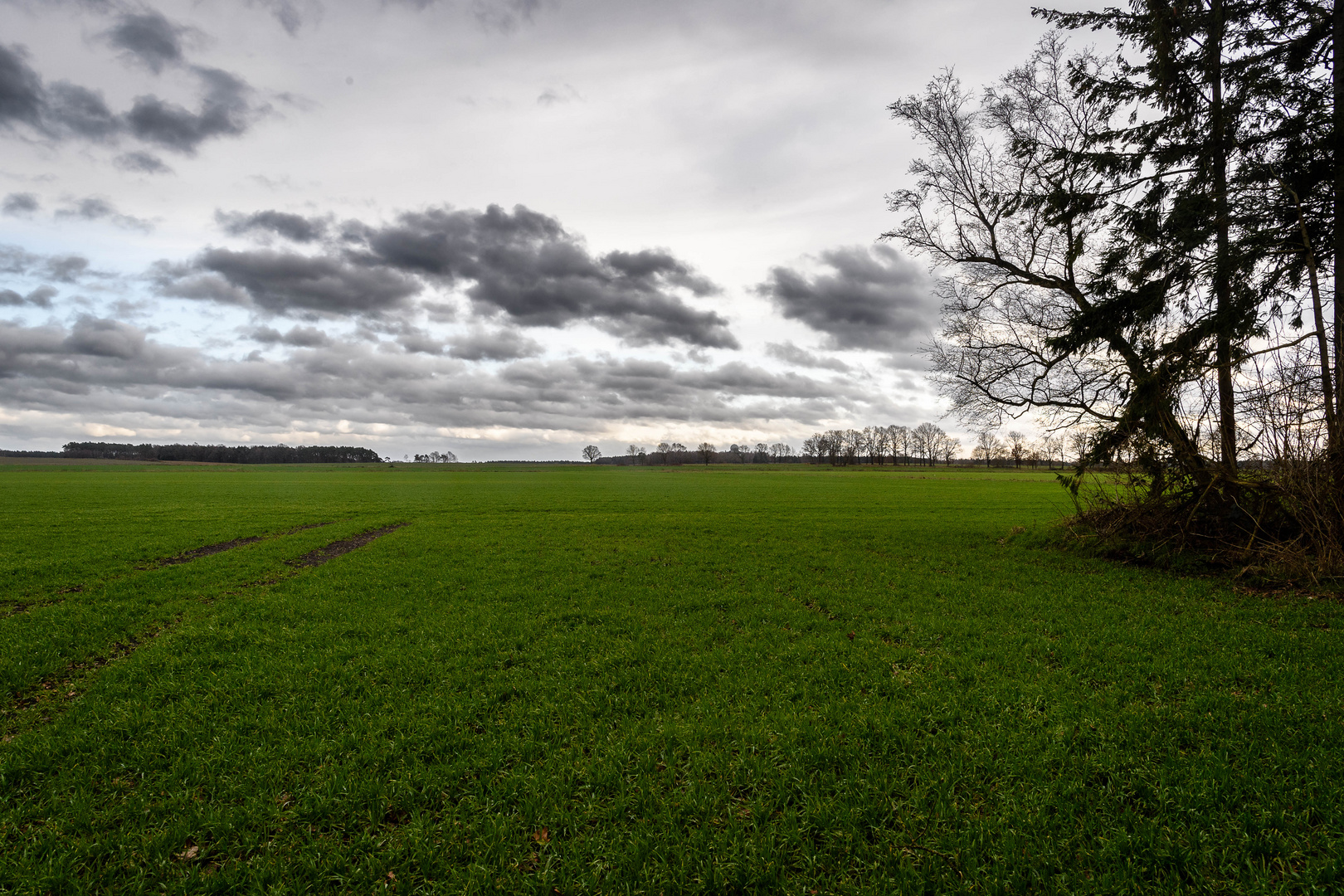 Wolkenspiele 3