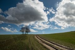 Landschaft