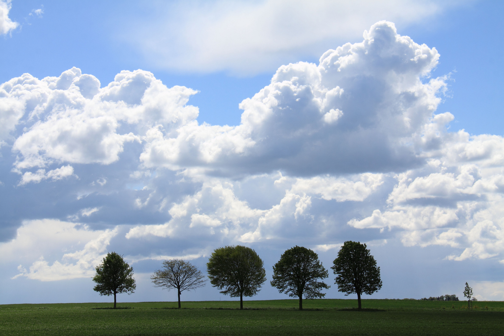 >Wolkenspiele