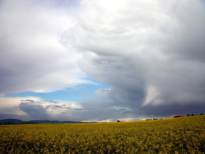 Wolkenspiele über Obernbeck