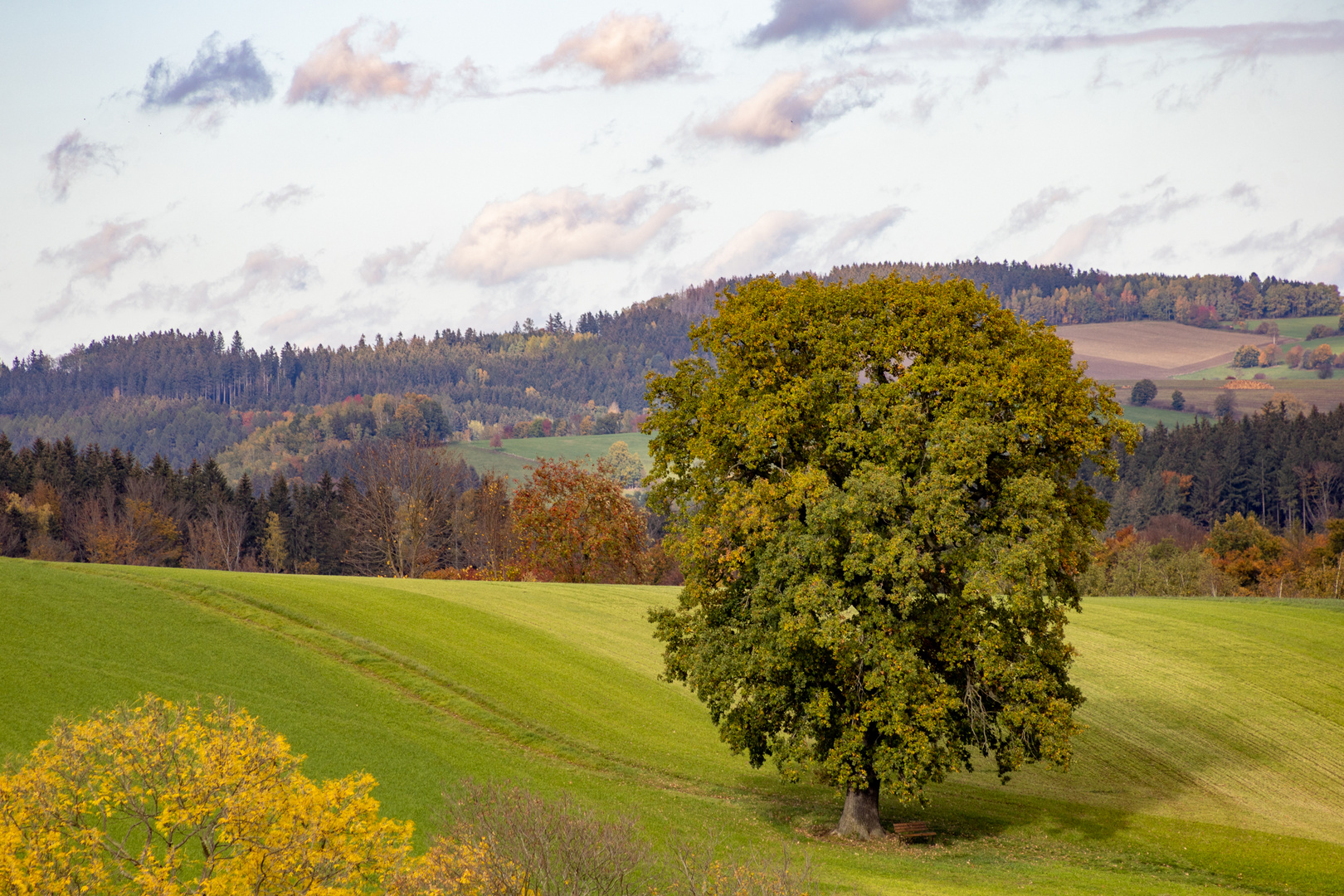 Wolkensteiner Felder