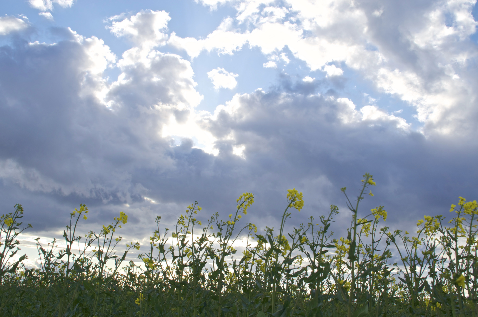 Wolkenstimmung