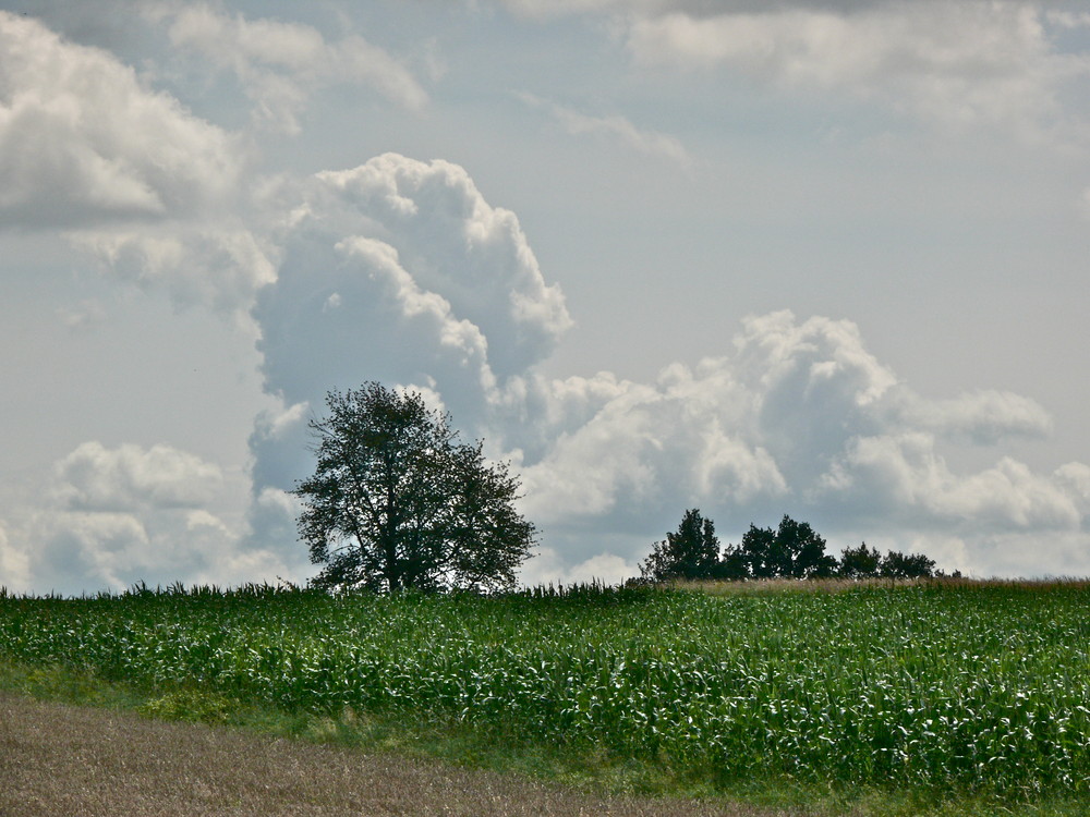 Wolkenstimmung