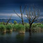 Wolkenstimmung am Bodensee